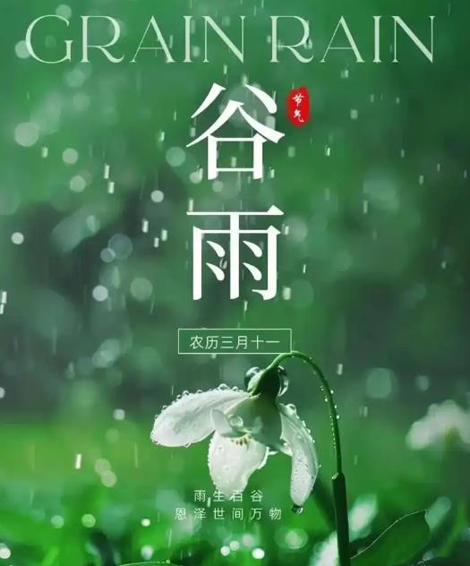 圖-谷雨節氣.jpg