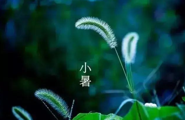 2025小暑